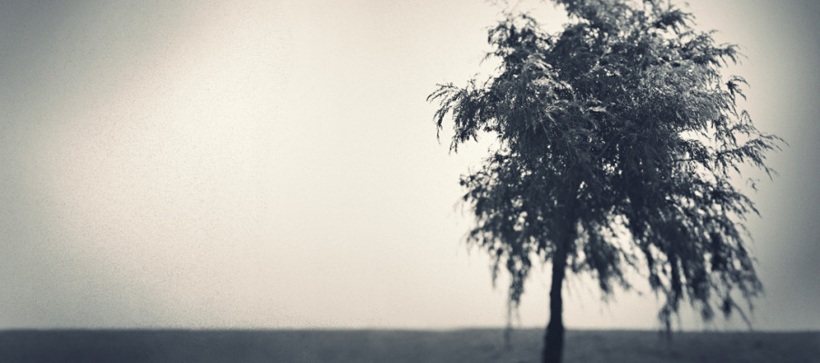 new site and recent work–moved